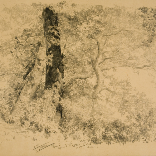 image for: Antoni Fabrés - Rocca di Papa - 1909