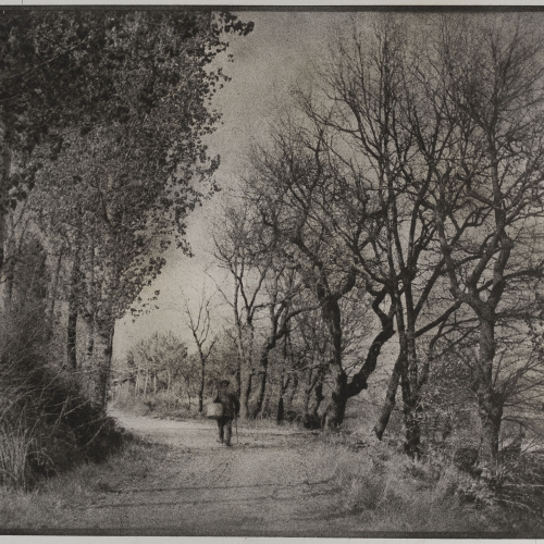 image for: Josep Maria Casals i Ariet - Camí de poble - No datat