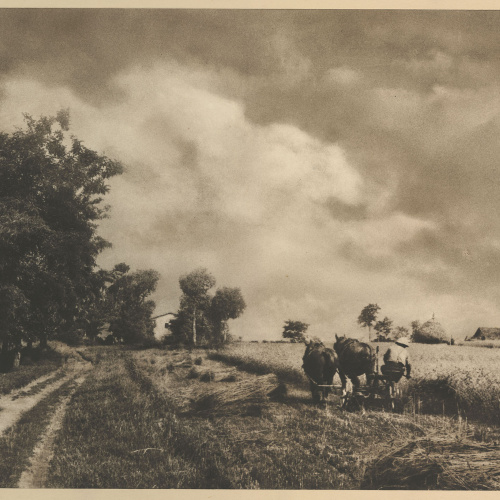 image for: Josep Maria Casals i Ariet - Camperol segant - No datat