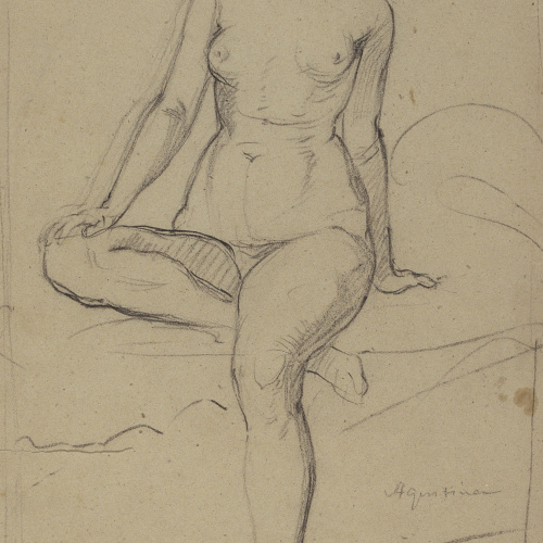 image for: Ramon Martí i Alsina - Agustina - Cap a 1860-1865