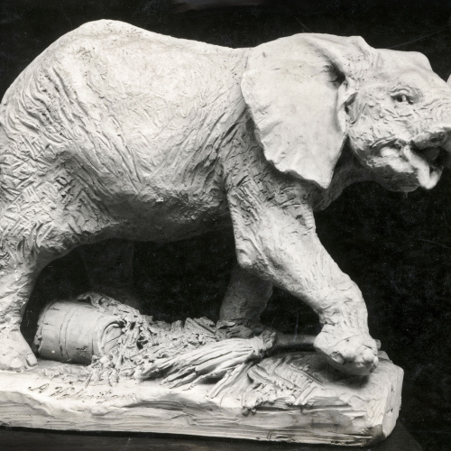 image for: Agapit Vallmitjana Barbany - Elefant de circ - Cap a 1880