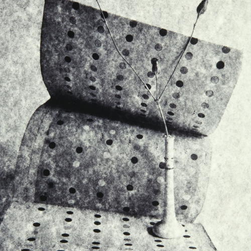 image for: Toni Catany - Homenatge a Chevreuil - 1979 (tiratge 1995)