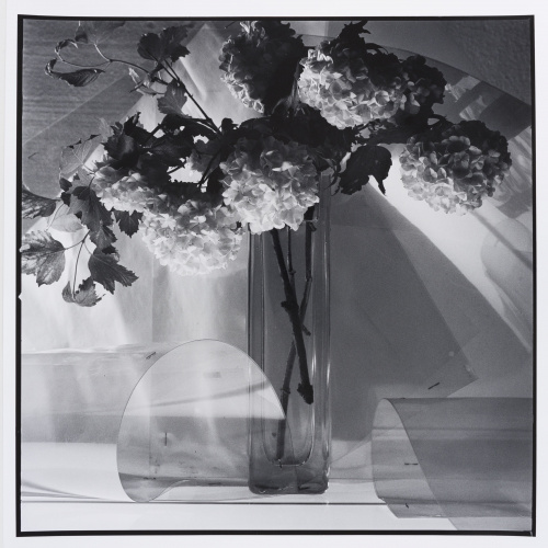 image for: Toni Catany - Natura morta - 1981 (tiratge 2000)