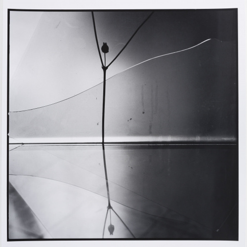 image for: Toni Catany - Natura morta - 1979 (tiratge 2000)