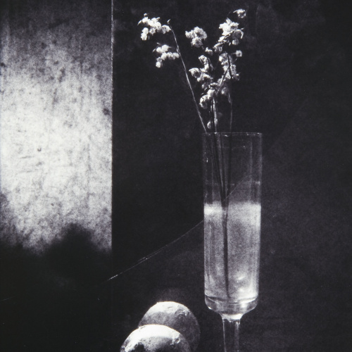 image for: Toni Catany - Homenatge a Sudek - 1986