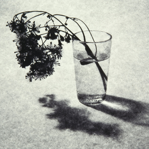 image for: Toni Catany - El tassó - 1979 (tiratge 2005)