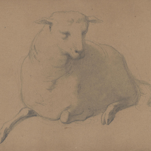 image for: Claudi Lorenzale - Ovella - Cap a 1850-1870