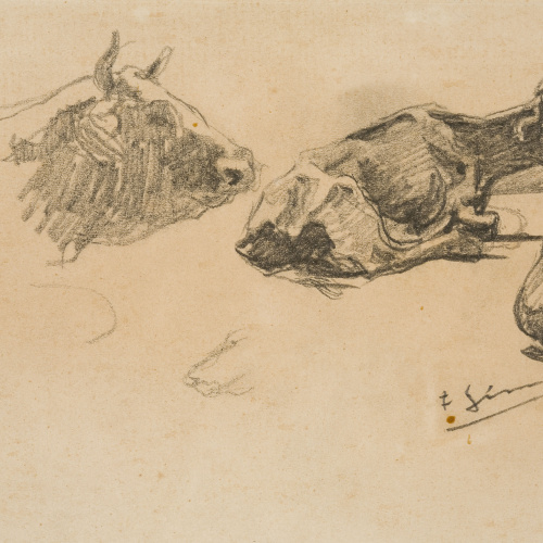 image for: Francesc Gimeno - Estudi de vaques - Cap a 1878-1880