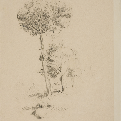 image for: Francesc Gimeno - Un germanet d&#039;en Gimeno (anvers) / Estudi d&#039;arbres (revers) - Cap a 1878 [1]