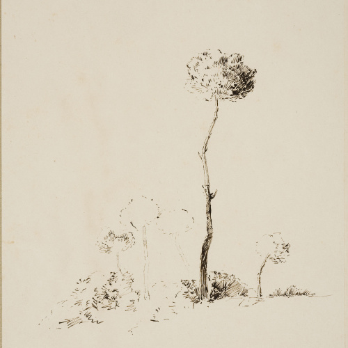 image for: Francesc Gimeno - Vista parcial del Castell-Tortosa (anvers) / Estudi d&#039;arbres (revers) - Cap a 1878 [1]