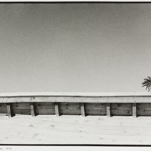 image for: Josep Rigol - Boat and palm-tree (Sitges) - 1975 (tiratge 1981)