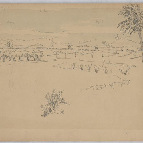 image for: Josep Lluís Pellicer - Cartagena - 1873