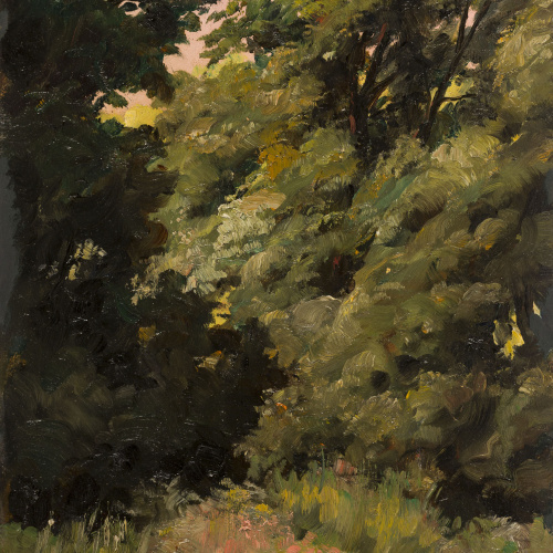 image for: Antoni Fabrés - Racó de parc - 1898