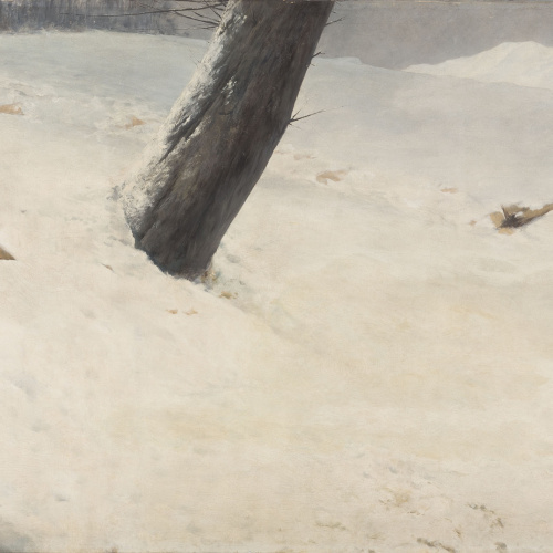 image for: Antoni Fabrés - Desert blanc - Cap a 1901