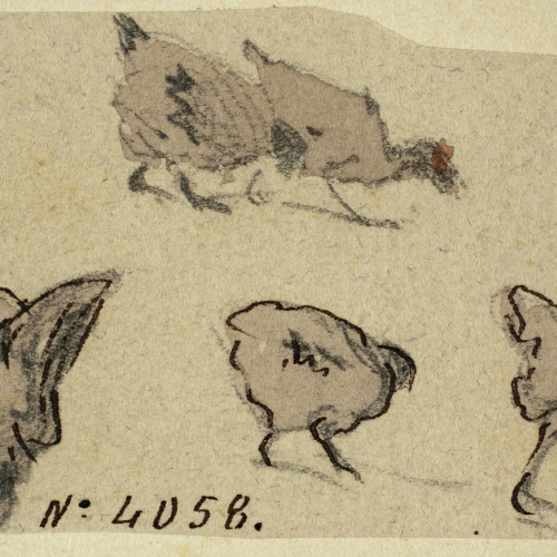 image for: Modest Urgell - Pollets i gallines - Cap a 1864