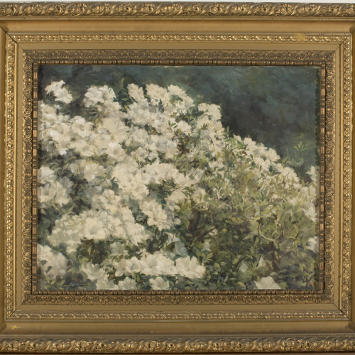 image for: Antoni Fabrés - Rododendres blancs - Cap a 1896