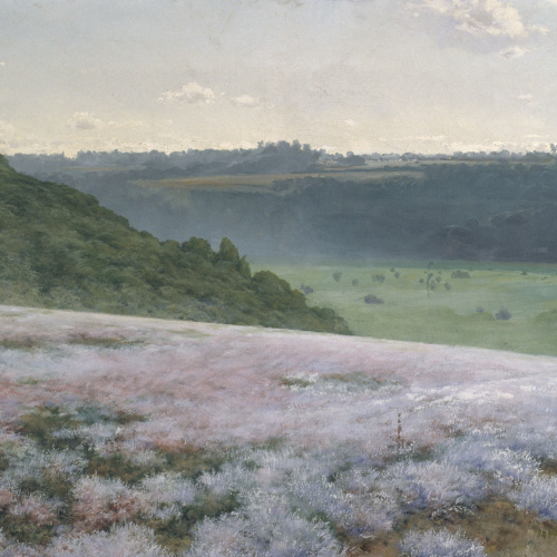 image for: Antoni Fabrés - Camp de brugueres - Cap a 1898