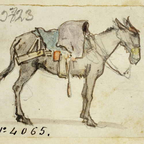 image for: Modest Urgell - Ruc - Cap a 1864