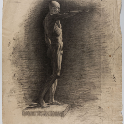 image for: Andreu Solà - Estudi d&#039;anatomia - 1881