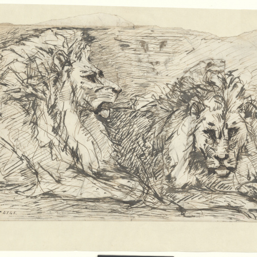 image for: Agapit Vallmitjana Abarca - Estudi de lleons - Cap a 1880-1890