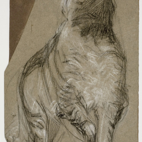 image for: Ramon Martí i Alsina - Estudi de gos llop - Cap a 1862