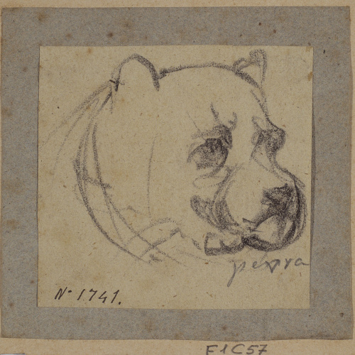 image for: Ramon Martí i Alsina - Cap d&#039;una gossa - Cap a 1862