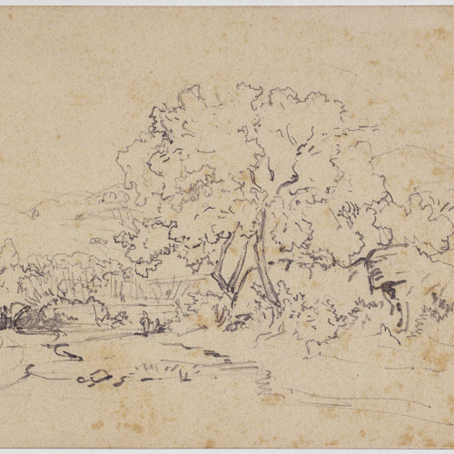 image for: Ramon Martí i Alsina - Riera de Teià - Tayà, 1858