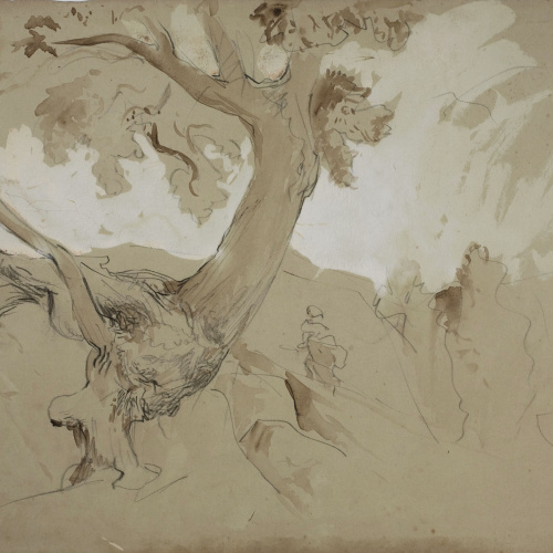 image for: Ramon Martí i Alsina - Estudi d&#039;una alzina - Cap a 1880-1890