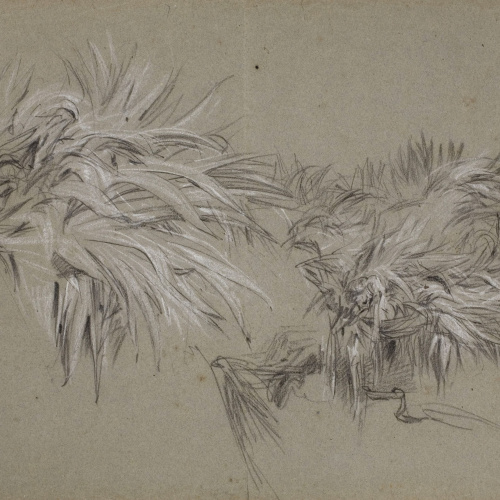 image for: Ramon Martí i Alsina - Estudi d&#039;atzavares - Cap a 1870-1880