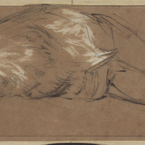 image for: Ramon Martí i Alsina - Lleona dormint - Cap a 1870-1880