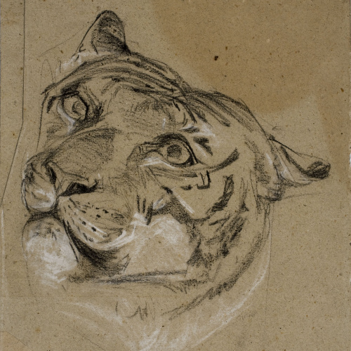 image for: Ramon Martí i Alsina - Cap de tigre - Cap a 1862
