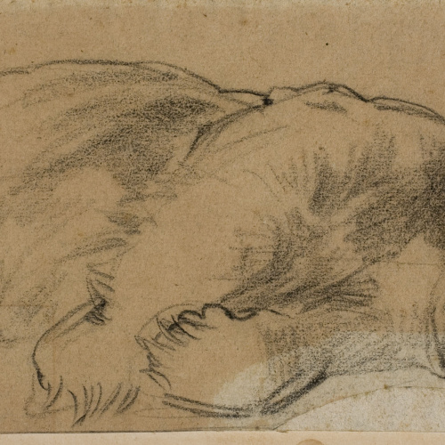 image for: Ramon Martí i Alsina - Un ós dormint - Cap a 1870-1880