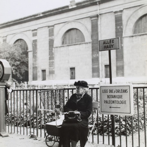 image for: Oriol Maspons - Sense títol - Cap a 1955-1956