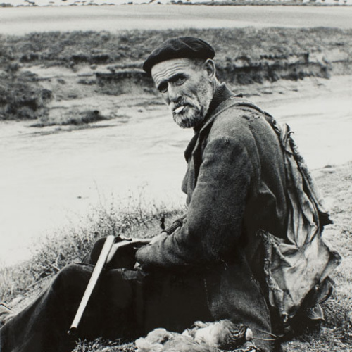 image for: Oriol Maspons - El Barbas. Fotografia per al llibre «La caza de la perdiz roja», de Miguel Delibes (maqueta) - 1962