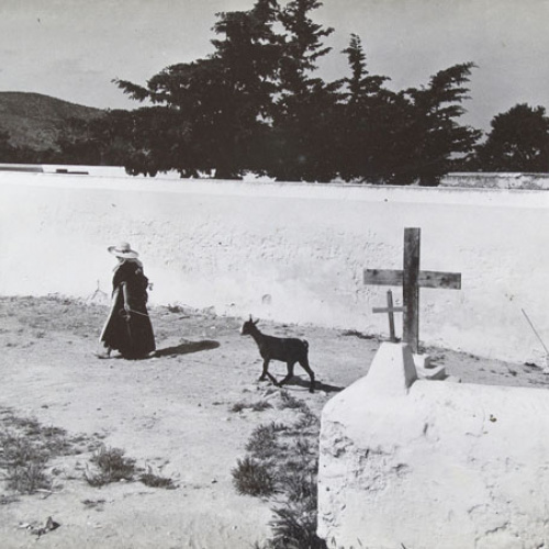 image for: Oriol Maspons - Eivissa - Cap a 1955