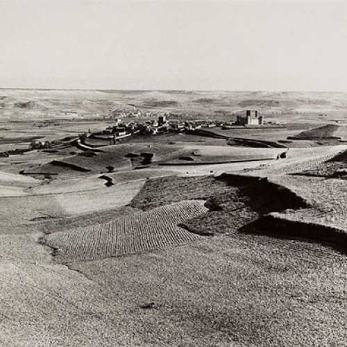 image for: Oriol Maspons - Fotografia per al llibre «La caza de la perdiz roja», de Miguel Delibes - 1962