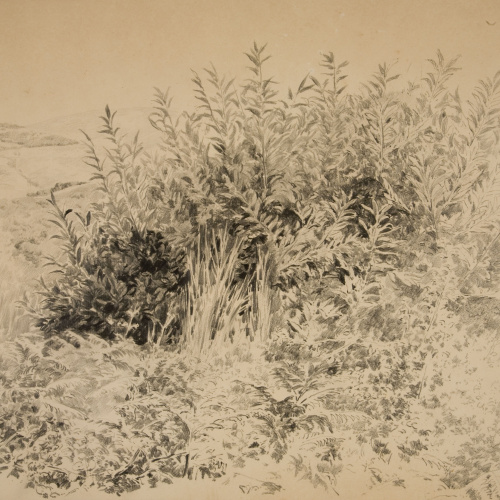 image for: Antoni Fabrés - Racó de bosc - Cap a 1888