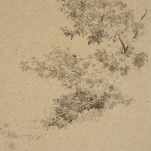 image for: Antoni Fabrés - Vegetació - Cap a 1888-1894