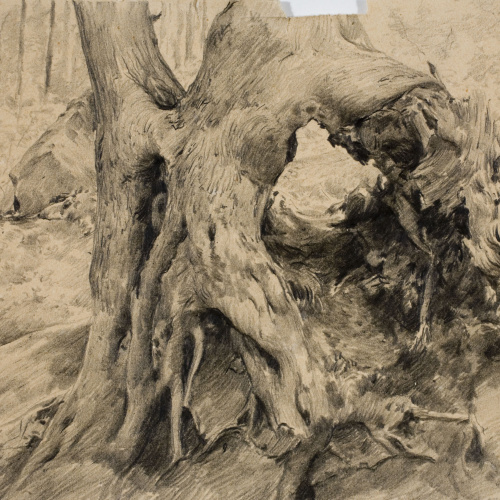 image for: Antoni Fabrés - Racó de bosc - Cap a 1888-1894