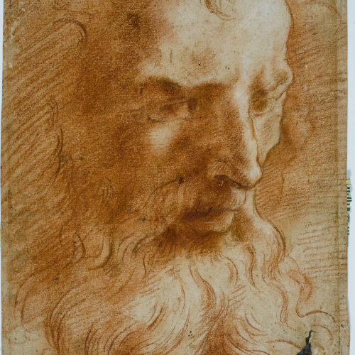 image for: Antoni Fabrés - Estudi de cap masculí - Cap a 1884