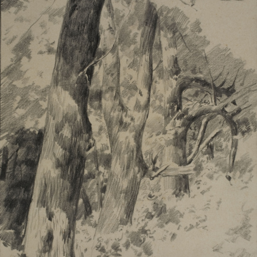 image for: Antoni Fabrés - Racó de bosc - Cap a 1888