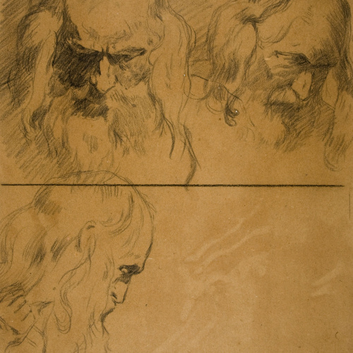 image for: Antoni Fabrés - Estudis de cap masculí - Cap a 1903