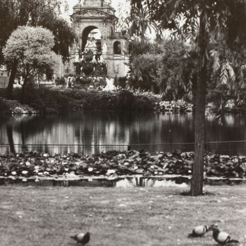 image for: Oriol Maspons - Sense títol [Parc de la Ciutadella, Barcelona] - Cap a 1971