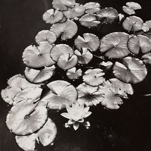 image for: Oriol Maspons - Sense títol - Cap a 1959