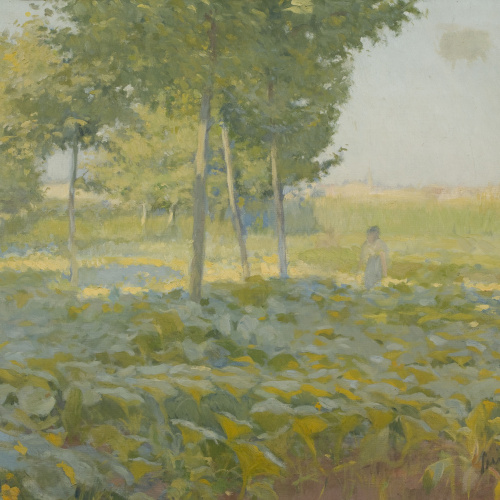 image for: Joaquim Sunyer - Horta assolellada - Cap a 1894
