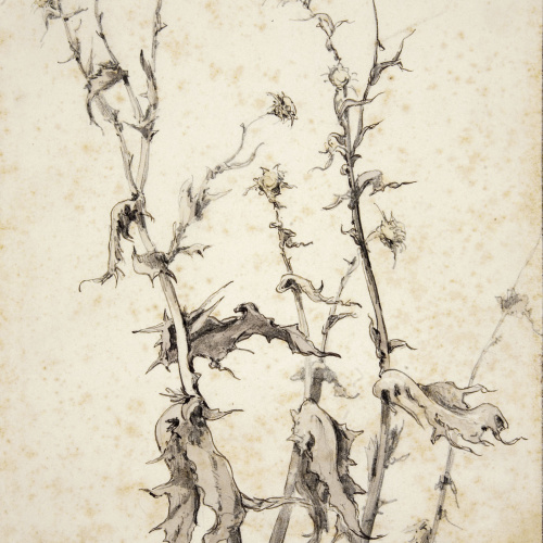 image for: Modest Urgell - Cards - Cap a 1864