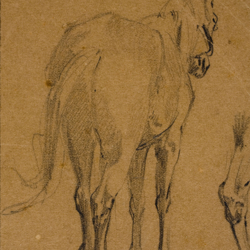 image for: Ramon Martí i Alsina - Cavall d&#039;esquena - Cap a 1855-1860