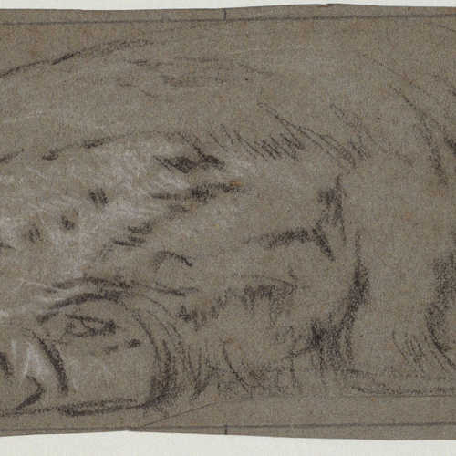 image for: Ramon Martí i Alsina - Una guineu descansant - Cap a 1862
