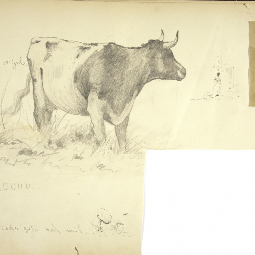 image for: Modest Urgell - Vaca i altres apunts - Cap a 1878