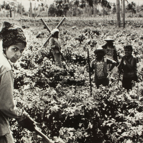 image for: Oriol Maspons - Sense títol (Cuba) - Agost de 1967